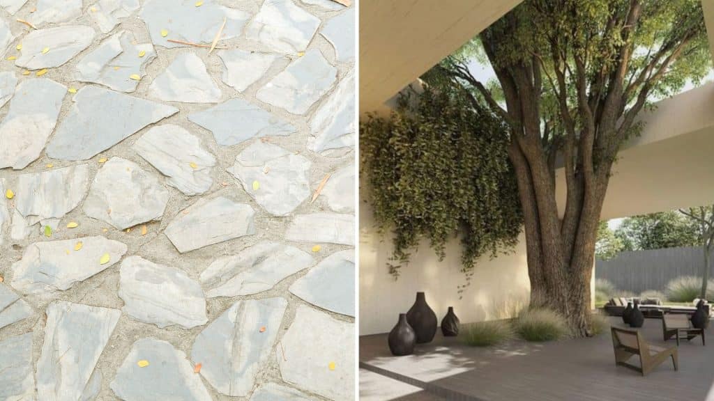 Interior Design Elements: Learn How Professionals Think When Designing Homes Incorporate natural elements like plants wood and stone into your space | TheMediterra.com