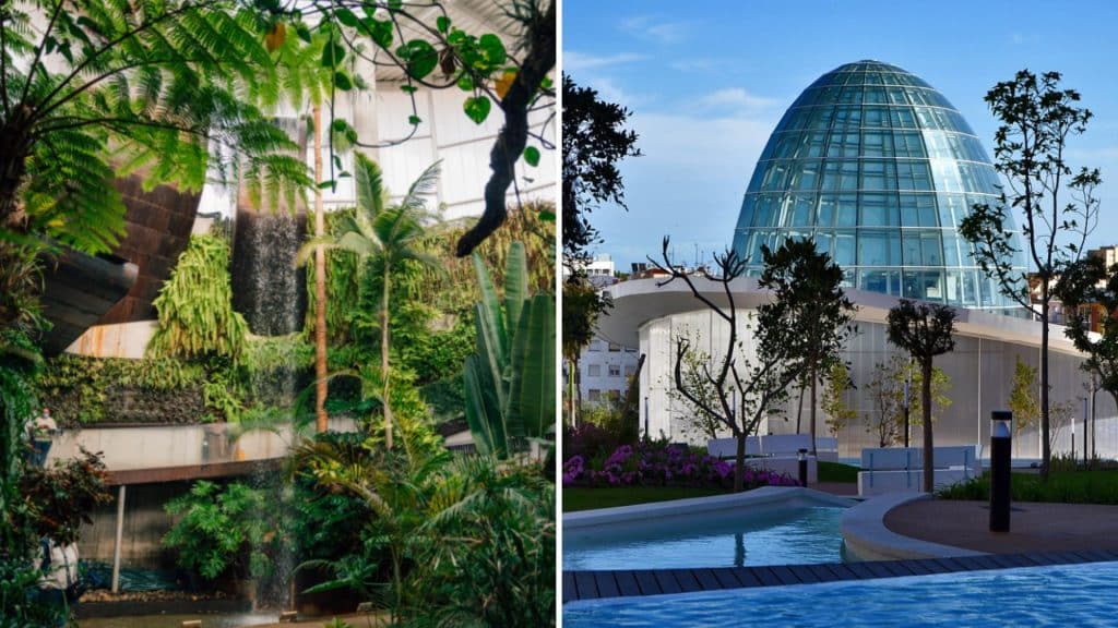 Estepona has a popular botanical garden: The Estepona Orchid House