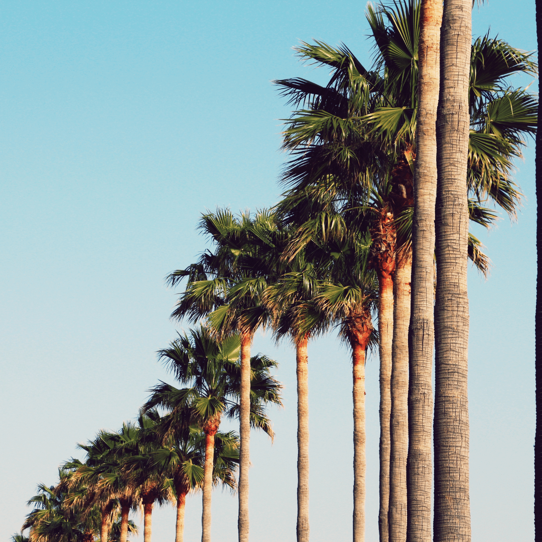 Marbella To Malaga | TheMediterra.com