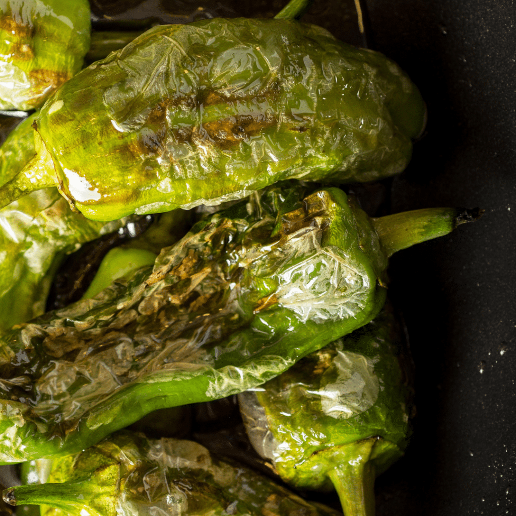 Pimientos de Padron | TheMediterra.com