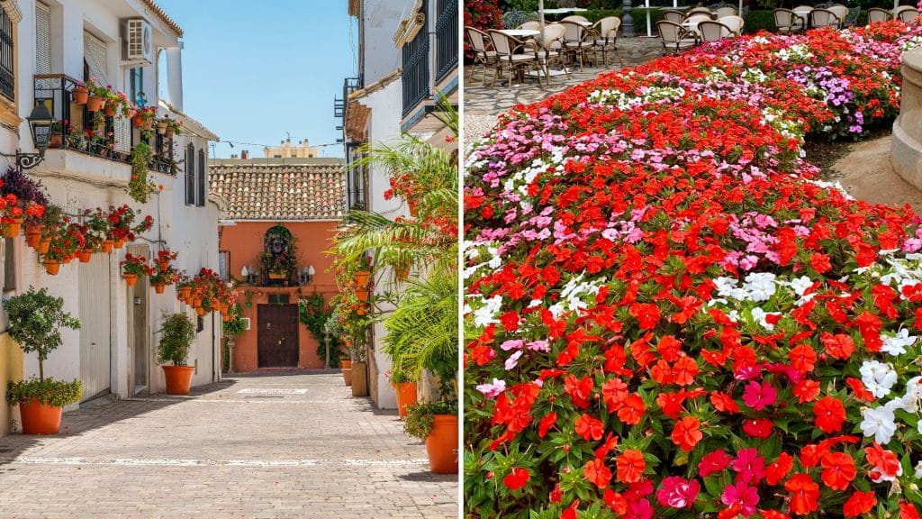 The Estepona old town is filled with narrow cobblestone streets that are lined with whitewashed houses adorned with colorful flowerpots