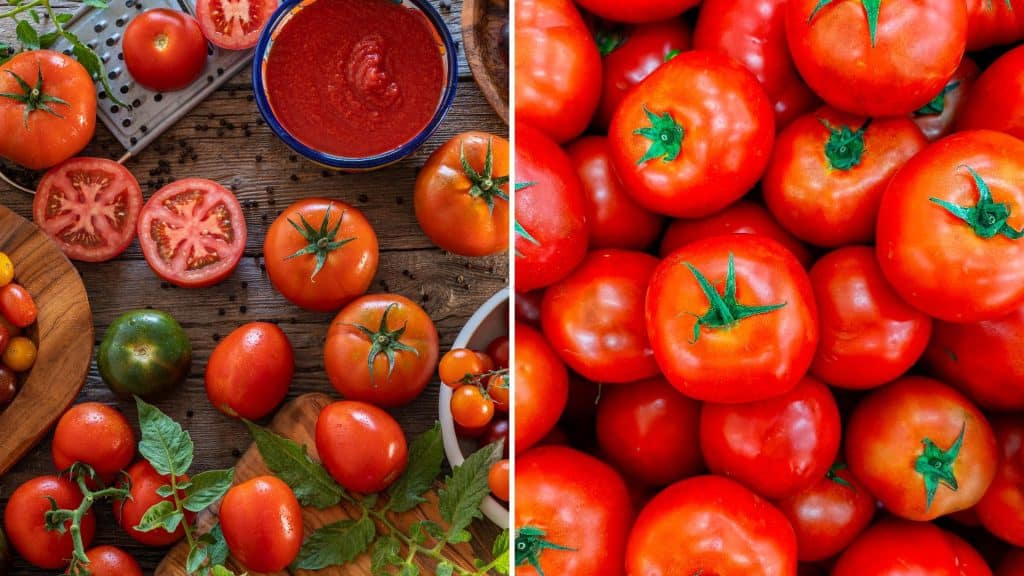 Mediterranean Superfoods: Boost Your Health with These Nutritious Delights A popular Mediterranean superfood is tomatoes | TheMediterra.com
