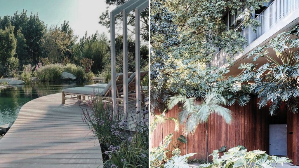Creating a calm home can be achieved by incorporating nature into your interior design