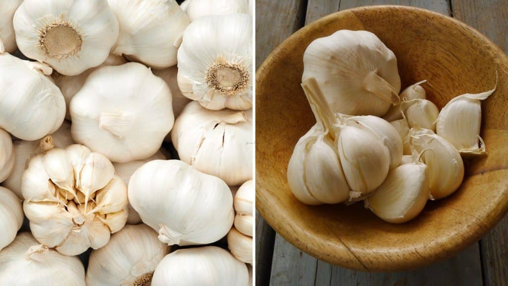 Mediterranean Spices: Adding Flavor to Your Dishes Garlic is another popular herb that is used in many Mediterranean dishes