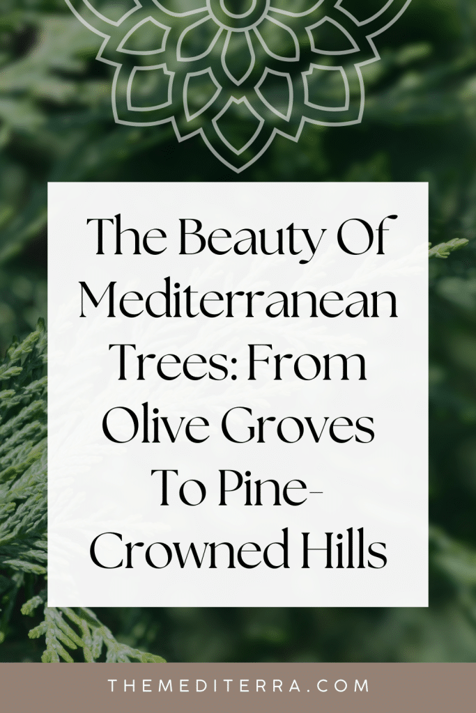 The Beauty Of Mediterranean Trees: From Olive Groves To Pine-Crowned Hills