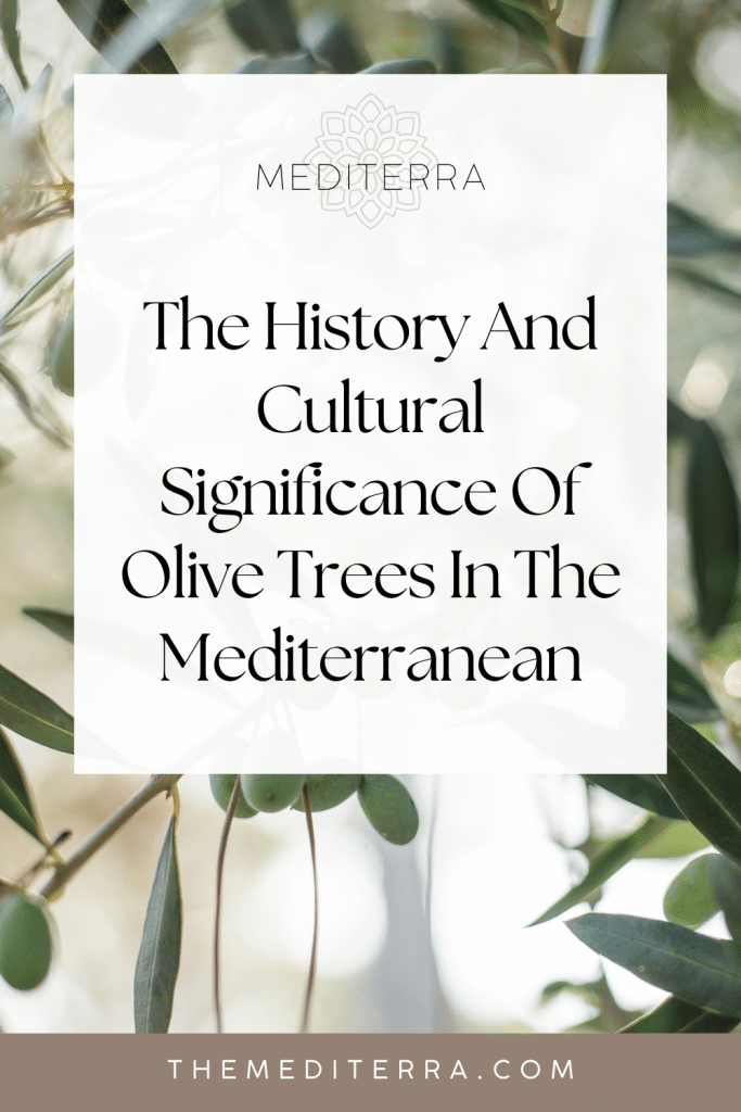 The History And Cultural Significance Of Olive Trees In The Mediterranean