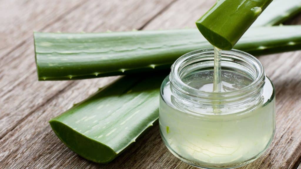 Amazing Mediterranean Spa Products - Unveiling the Essence of Wellness Aloe vera is widely used for its soothing properties especially after sun exposure