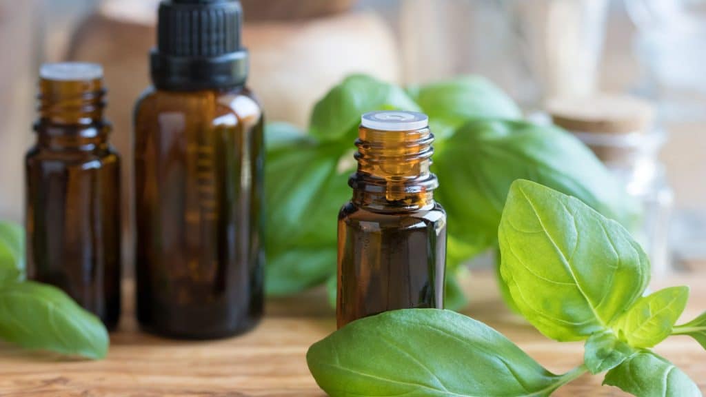 Amazing Mediterranean Spa Products - Unveiling the Essence of Wellness Basil Essential Oils are often used in aromatherapy