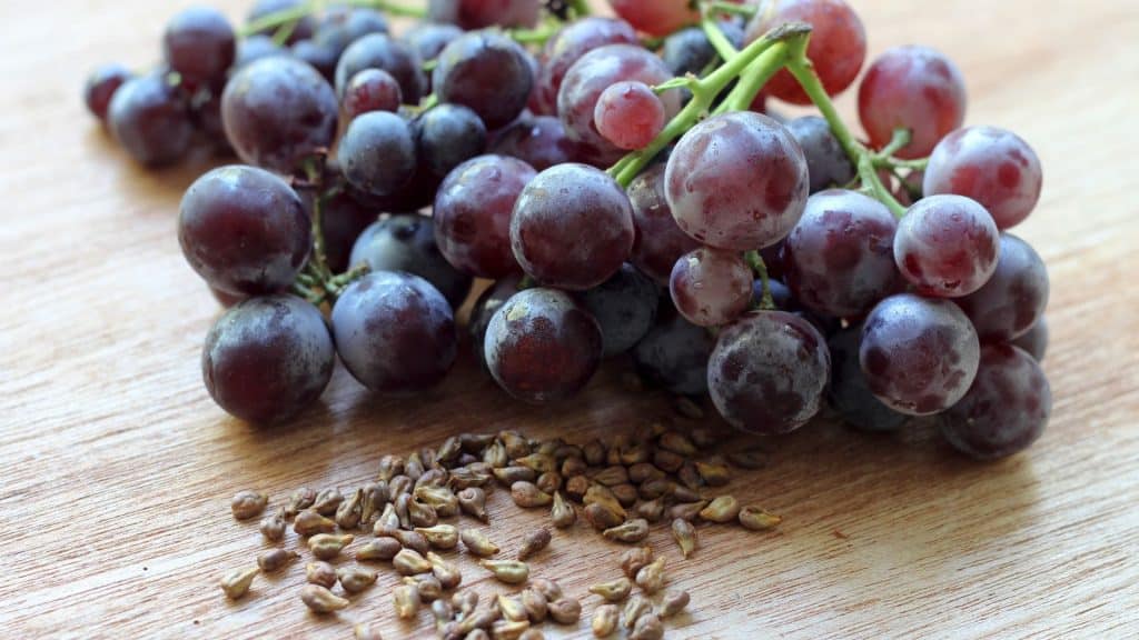 Amazing Mediterranean Spa Products - Unveiling the Essence of Wellness Grape seed extract is rich in antioxidants