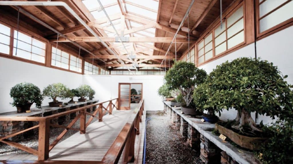 The Marbella Bonsai Museum