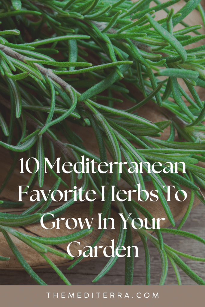 10 Mediterranean Favorite Herbs To Grow In Your Garden