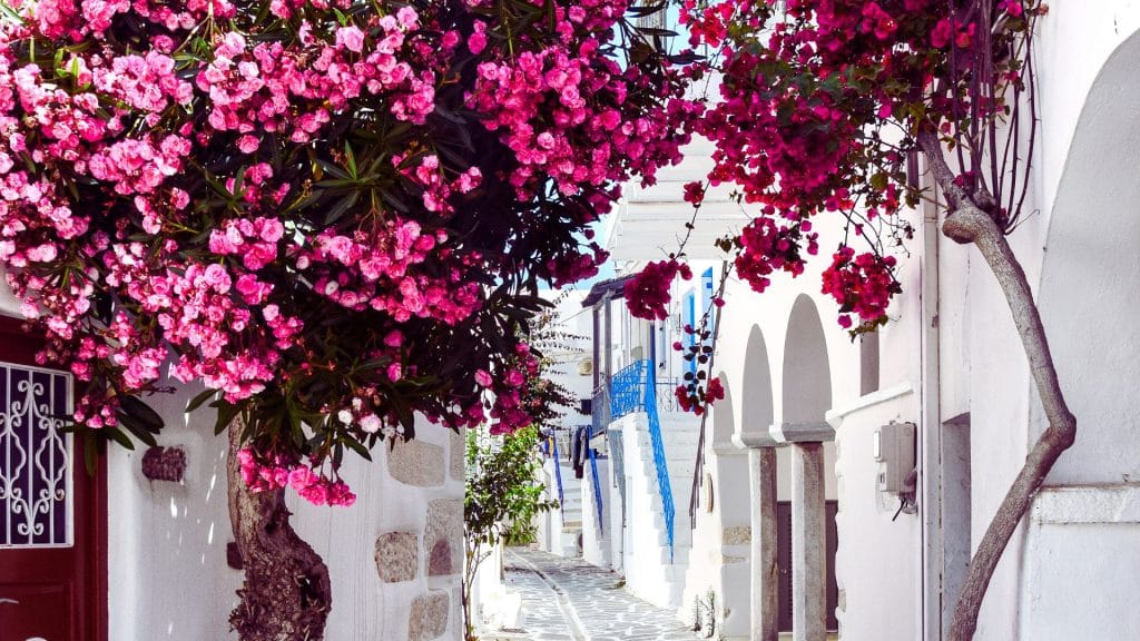 Paros is a Greek island located in the Aegean Sea
