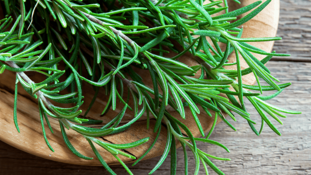 Rosemary is a popular Mediterranean herb that is easy to grow and care for