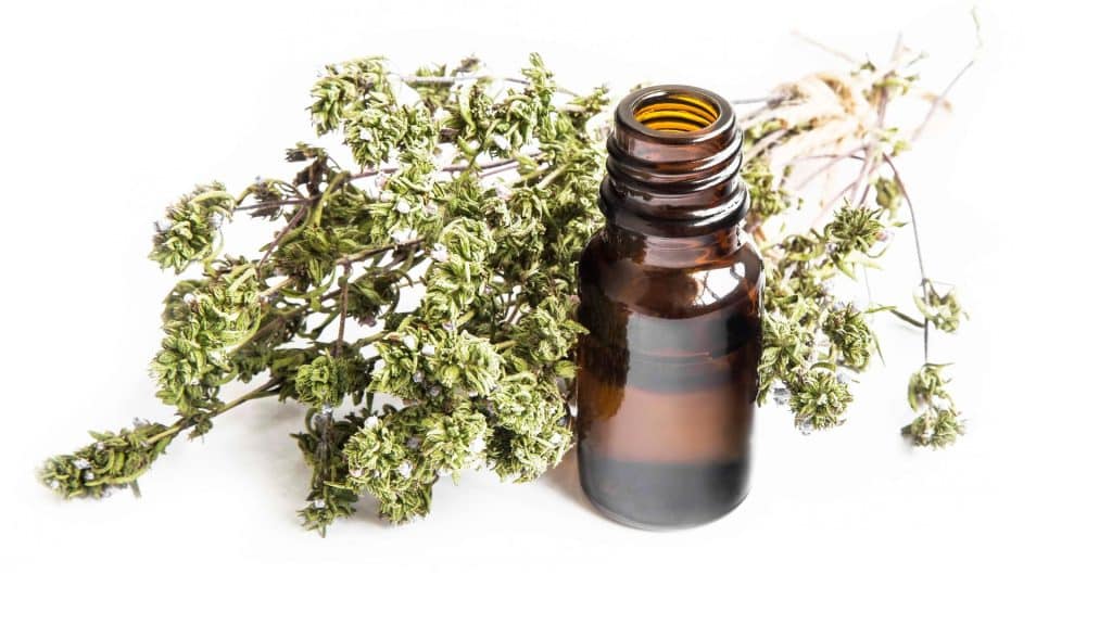 Amazing Mediterranean Spa Products - Unveiling the Essence of Wellness Thyme oil is valued for its purifying and antibacterial properties