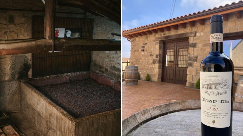 Bodegas Lecea 