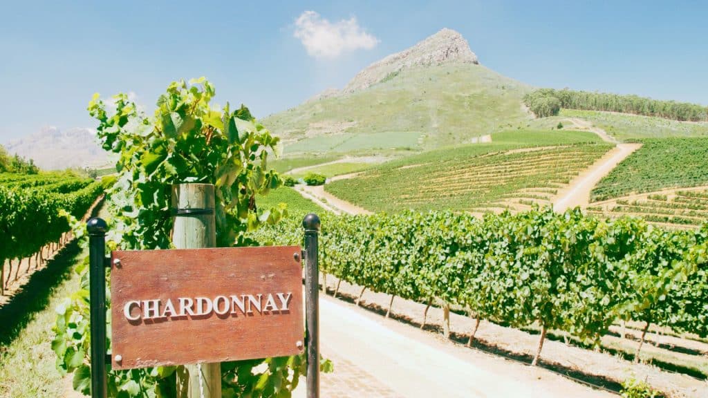 Chardonnay