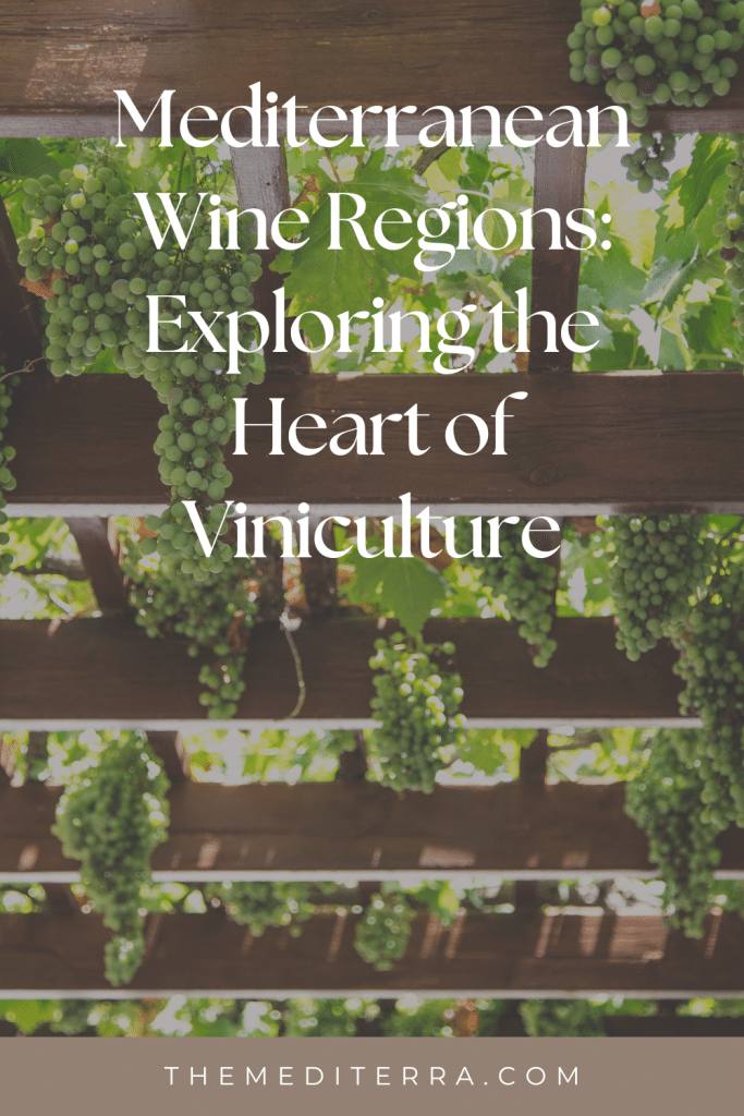 Mediterranean Wine Regions: Exploring the Heart of Viniculture