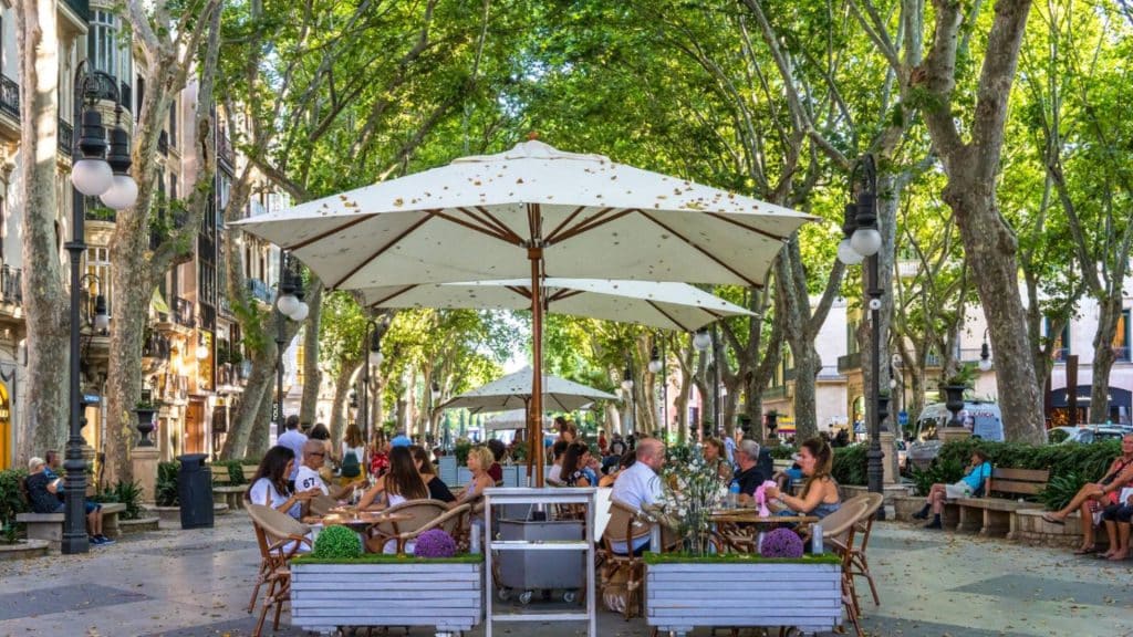 Paseo del Borne Mallorca