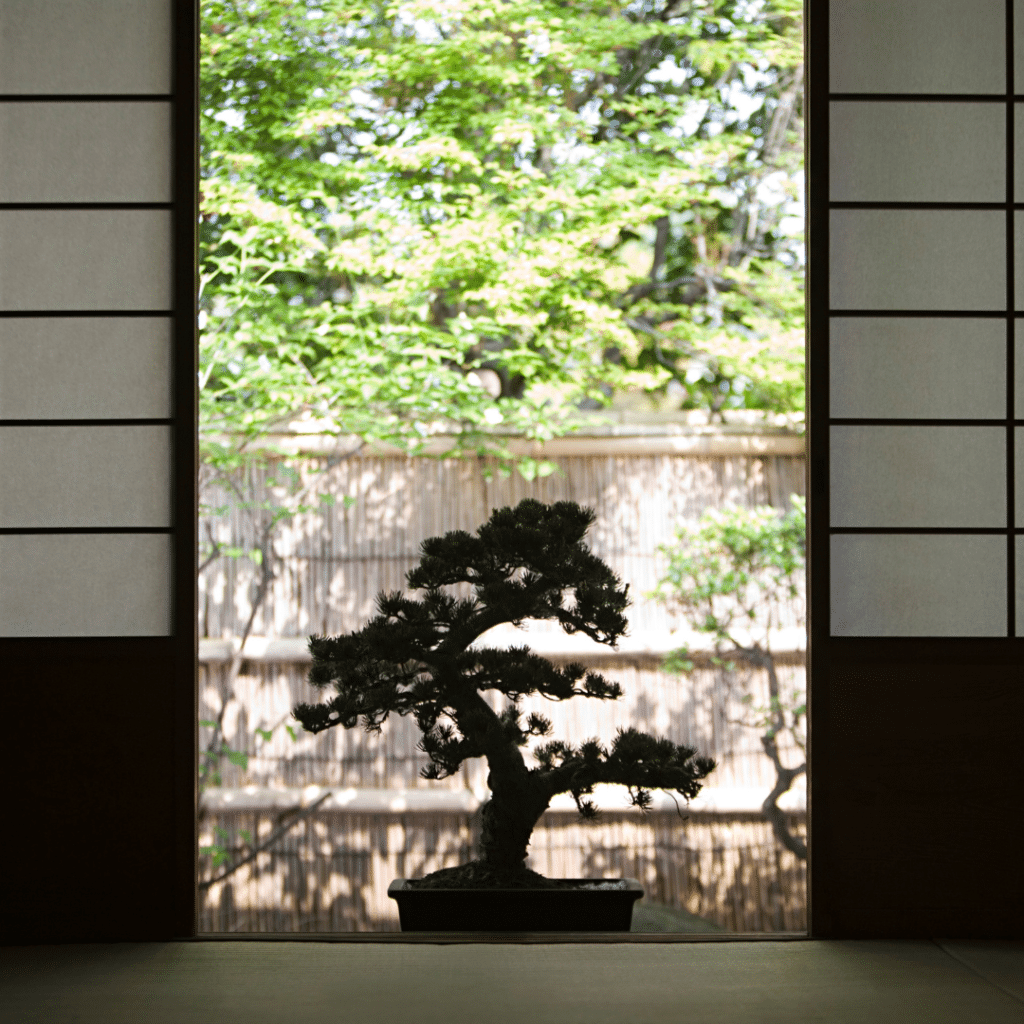 Bonsai is a perfect air purifier and a stylish plant in your Asian style bedroom