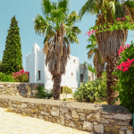 Mediterranean Climate Plants