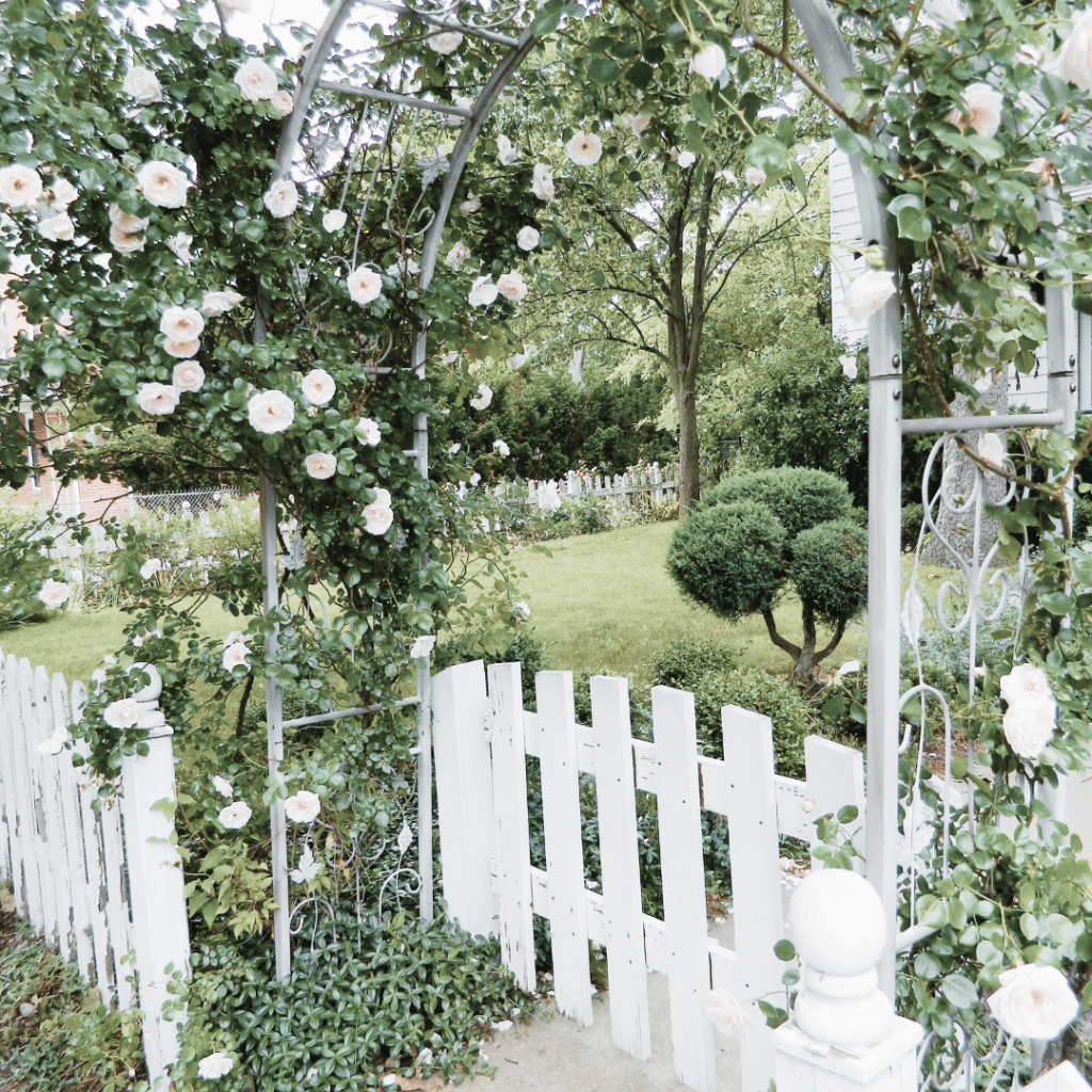 Mediterranean garden often has  arches, pergolas, or trellises