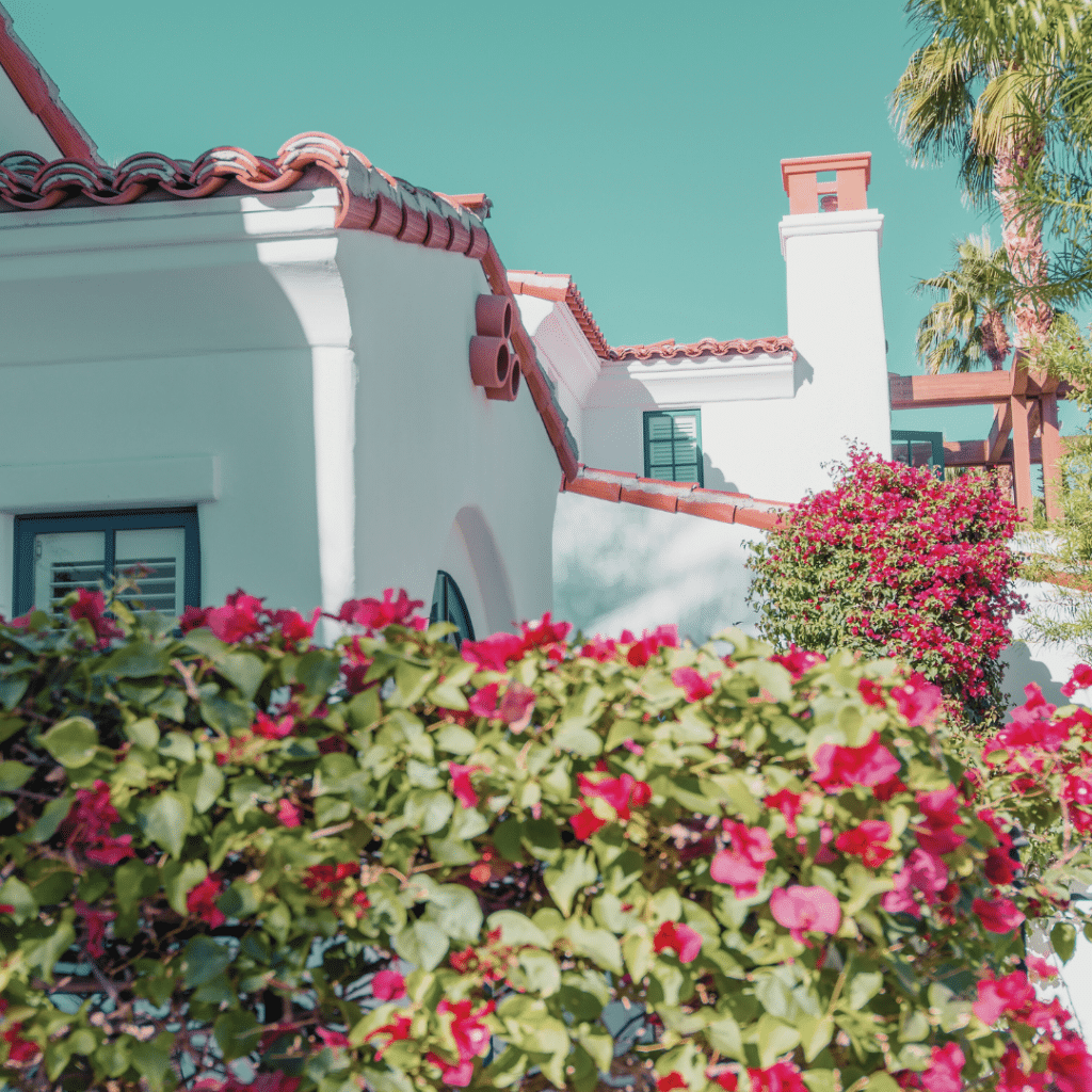 Mediterranean plants are adapted to the hot, dry summers and mild, wet winters