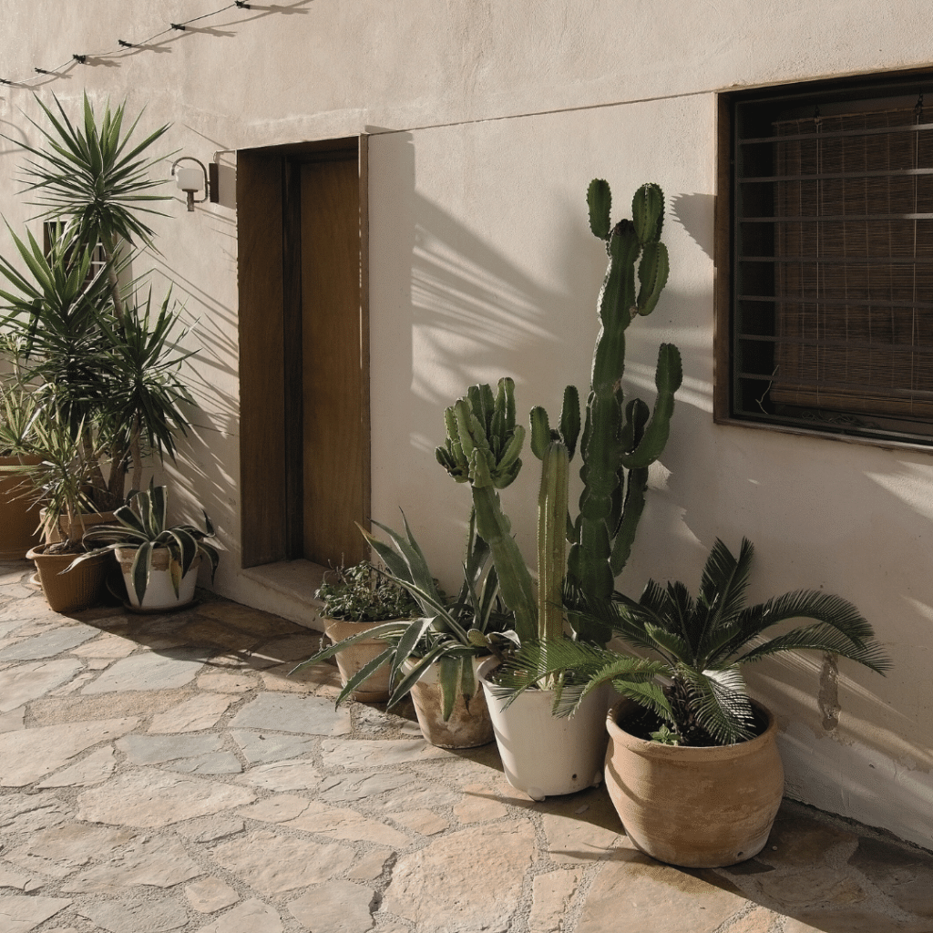 Use terracotta pots to plant your Mediterranean herb plants