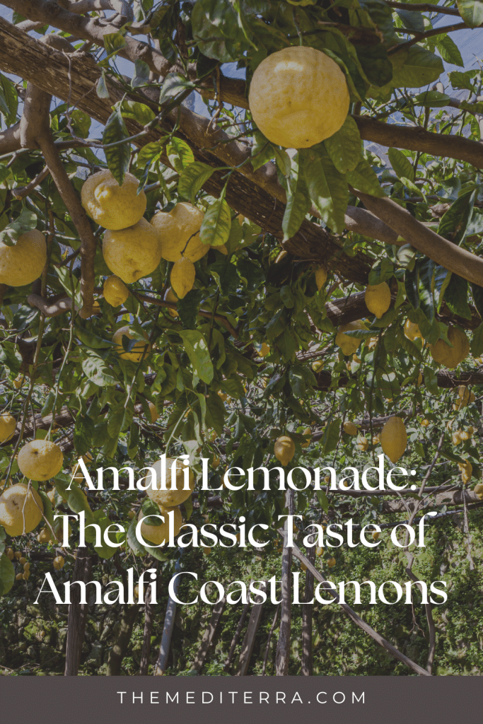 Amalfi Lemonade The Classic Taste of Amalfi Coast Lemons 1 | TheMediterra.com